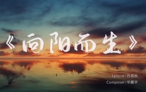 华晨宇 - 向阳而生(WEB-110M)
