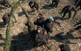 Coldplay - Adventure Of A Lifetime(WEB-208M)