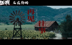 单依纯 - 再见往事 (电影《怒潮》片尾曲)(WEB-103M)