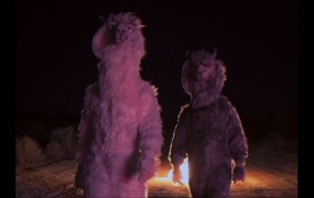 Fall Out Boy - The Last Of The Real Ones(TS-80M)