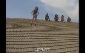 黑豹乐队 - 无地自容(WEB-45M)