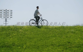 周深 - 去明天 (哔哩哔哩2024毕业歌)(WEB-109M)