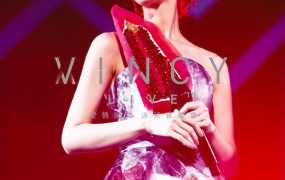 泳儿 - Vincy Live 2015 爱.情歌泳儿音乐会(BD_ISO-43.3G)