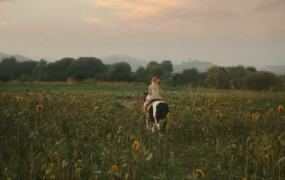 Gwen Stefani - Somebody Else's(MKV-361M)