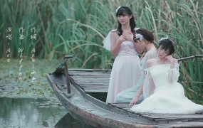 Ace - 遗世蒹葭(WEB-123M)