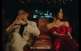 弹壳 - 枕头(WEB-96M)