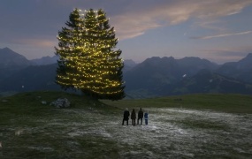 Little Big Town - Glow(MKV-431M)