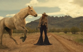 Lainey Wilson - Wildflowers and Wild Horses(MKV-513M)
