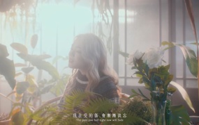 九九 Sophie Chen - Song about Life(MKV-324M)