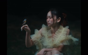 Jaime Cheung 张天颖 - 5 a.m.(WEB-202M)