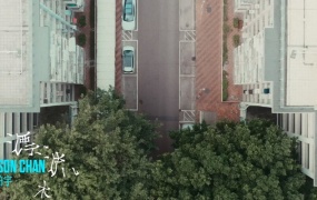 陈柏宇 - 漂流木(MKV-549M)