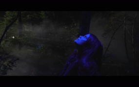 Blackbriar - Fairy of the Bog(WEB-351M)