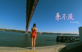 林明祯 - 来不及(MKV-383M)