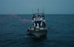 陶喆 - 微尘(MKV-336M)