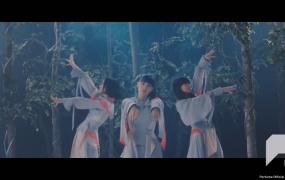 Perfume (电音香水) - 再生(WEB-80M)