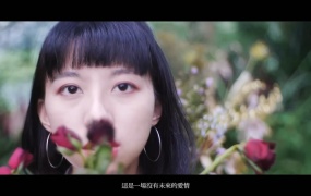 好乐团 - 我把我的青春给你(WEB-94M)