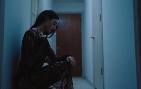 Starr Adara - FAMILY TIES(MKV-1.28G)