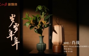 肖战 - 岁岁年年(WEB-67M)