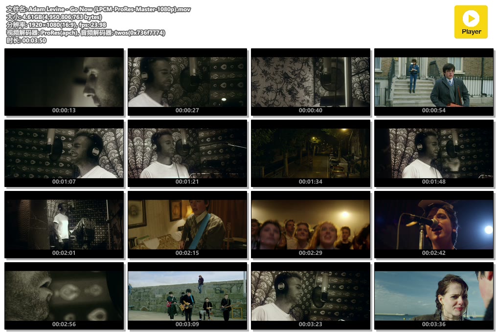 Adam Levine - Go Now (LPCM-ProRes-Master-1080p).mov