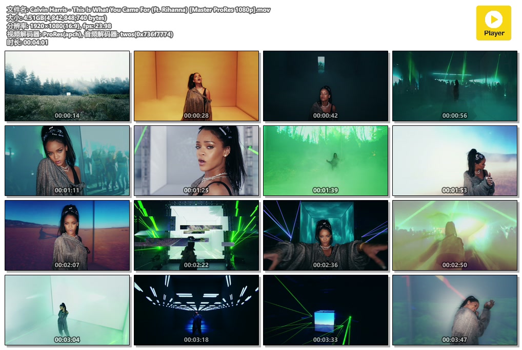 Calvin Harris - This Is What You Came For (ft. Rihanna) [Master ProRes 1080p].mov