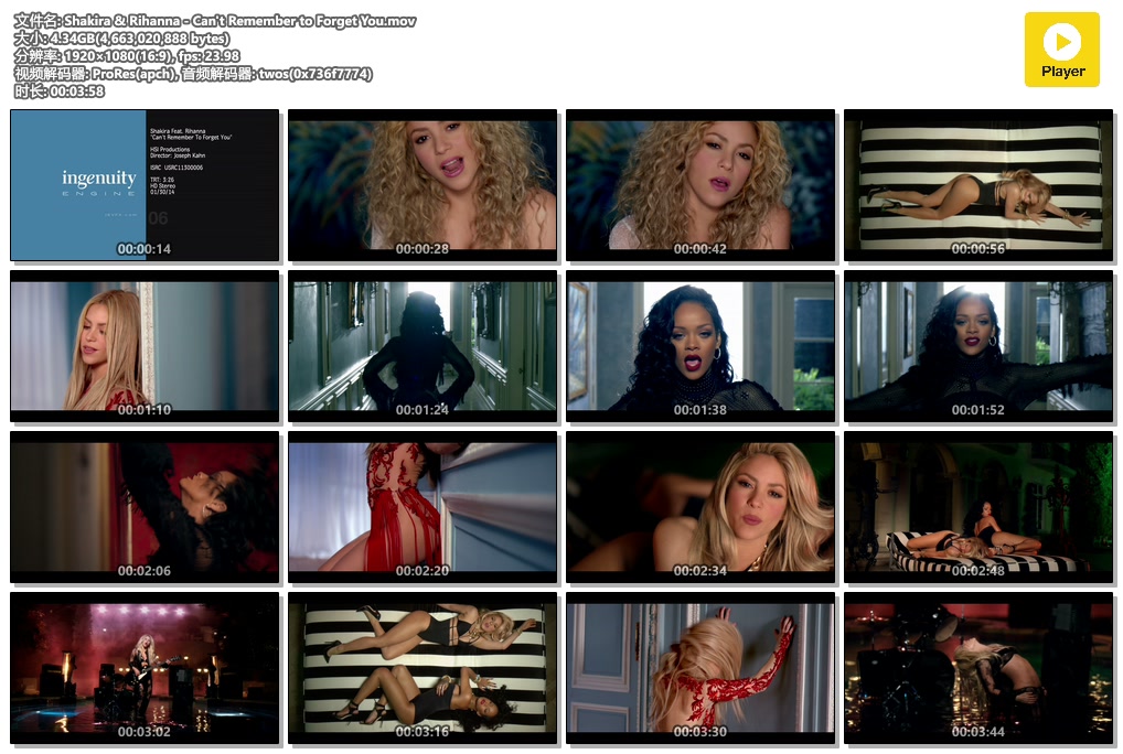 Shakira & Rihanna - Can't Remember to Forget You.mov