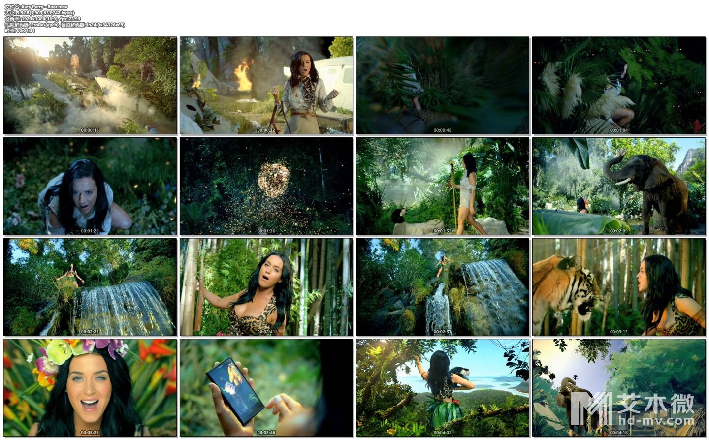 Katy Perry - Roar