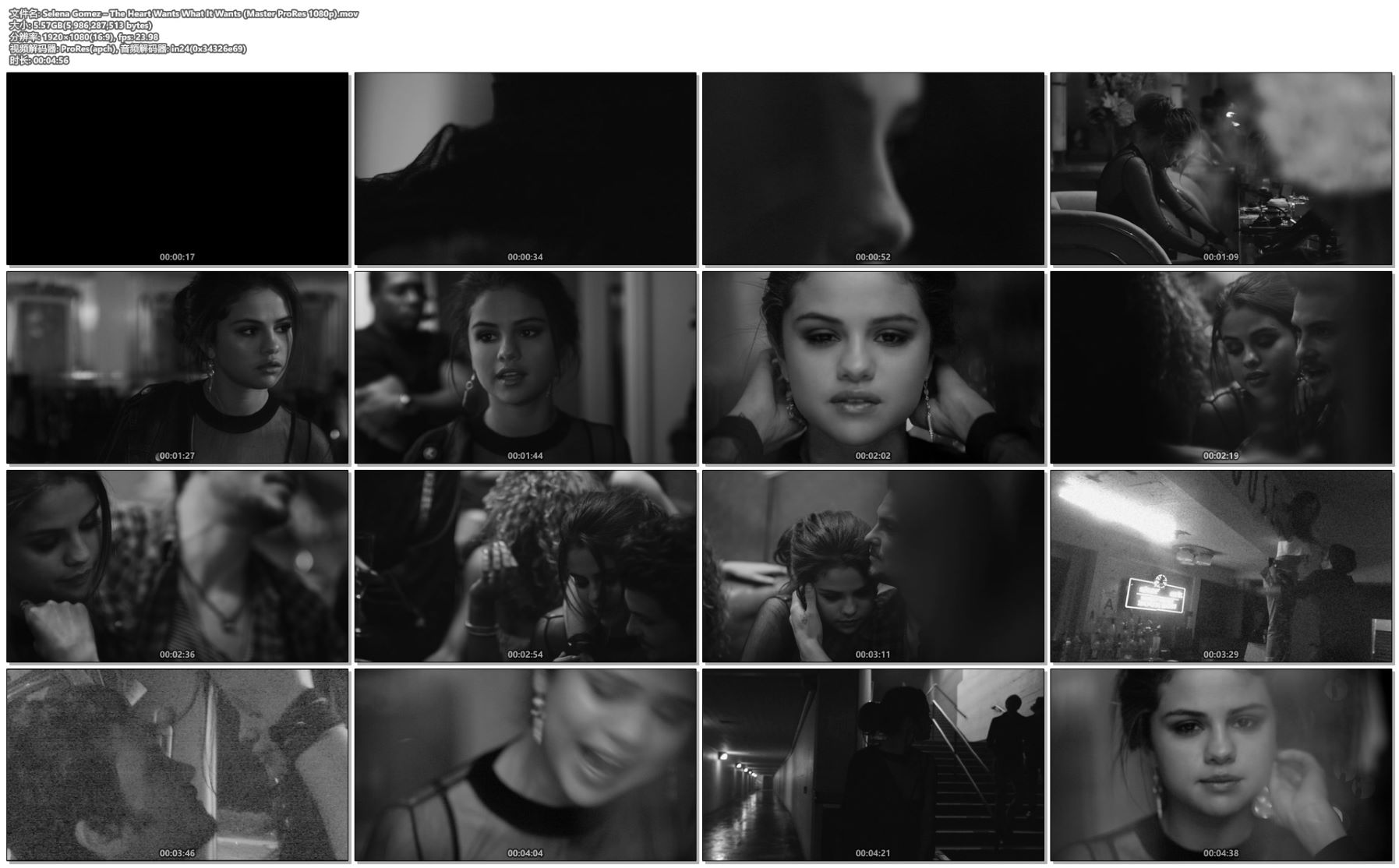 Selena Gomez – The Heart Wants What It Wants (Master ProRes 1080p)