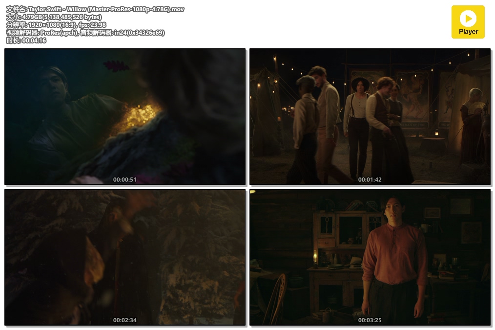 Taylor Swift - Willow (Master-ProRes-1080p-4.78G).mov