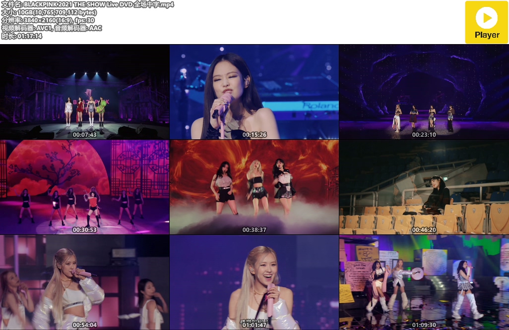 BLACKPINK 2021 THE SHOW Live DVD 全场中字.mp4